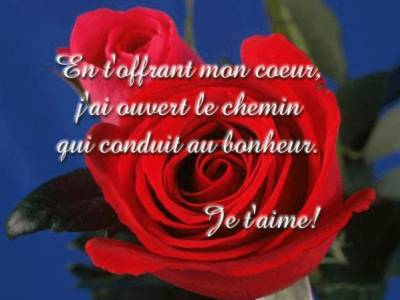 amour